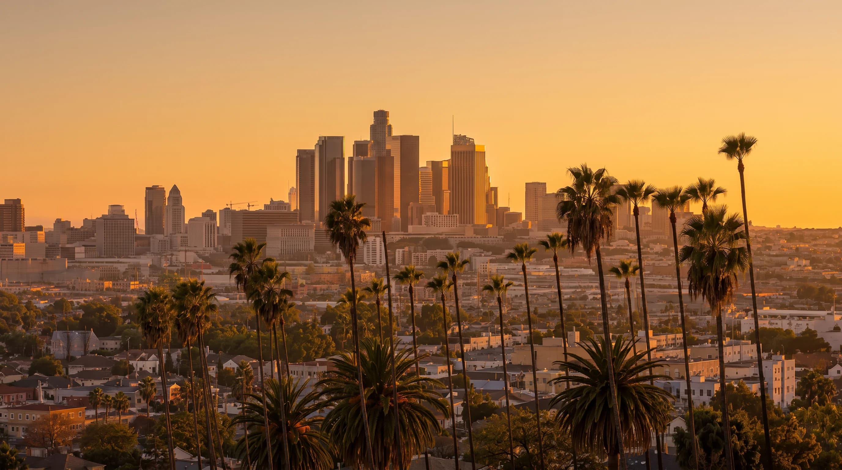 Downtown Los Angeles at sunset, framed by palm trees