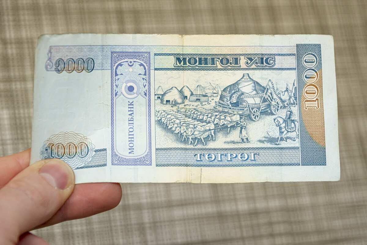 person holding the Mongolian paper money