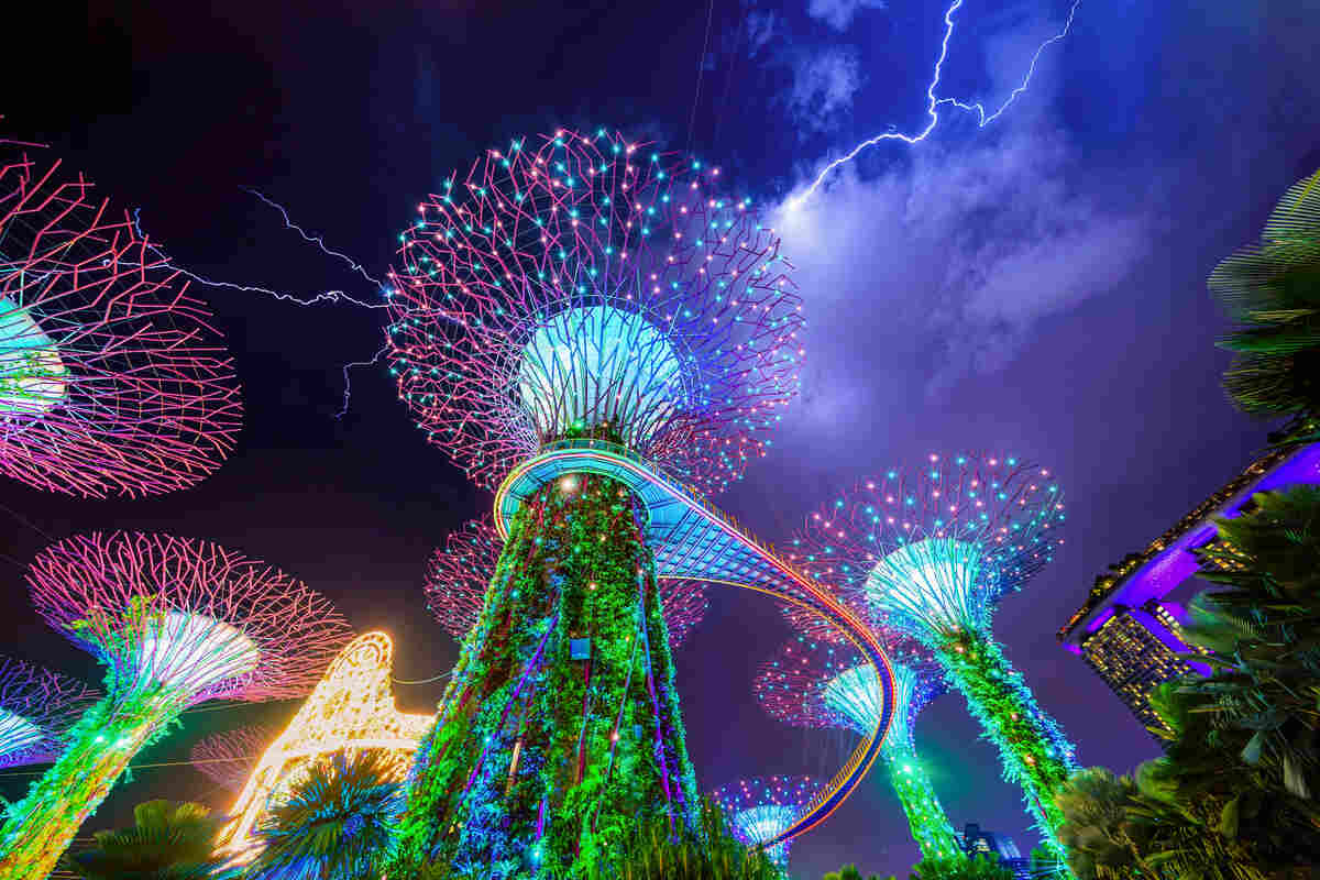 Plants at night in Gardens by the Bay in Singapore